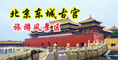 女人脱光衣服被男人操的超爽视频中国北京-东城古宫旅游风景区